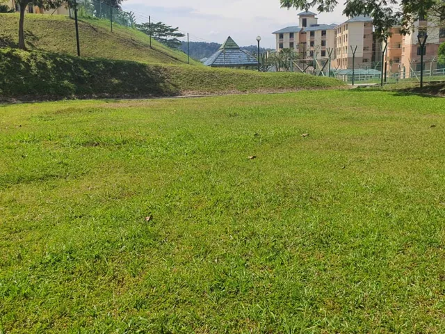 An empty grass plot on campus, still waiting to be turned into growing beds